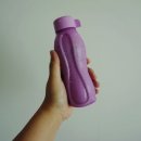 타파웨어 루비라 이미지