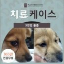 상동물병원 이미지