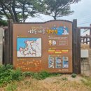 수협다대회센터 | 🐟 오일장은 구경하고, 회는 따로 뜨자-제주 이호테우해수욕장부터~한림민속오일장 + 수협 회센터 리얼 후기