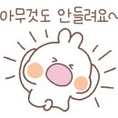 동해바구니 이미지