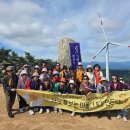 괴산군, 감물여성모니터링단 감악산 아스타국화 축제 선진지 견학 이미지