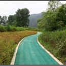 붕어섬축구장 이미지