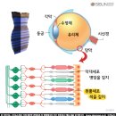 색깔 이미지