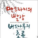 빨강나무
