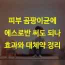 백선세탁 | 피부 곰팡이균에 에스로반 써도 되나 효과와 대체약 정리