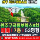 서원주부동산공인중개사사무소 | 📍 원주 구곡동보렉스9차 903동 7층 53평형 매매｜푸른숲부동산