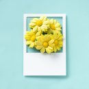 디자인어스 - 진도군 옥주길 16 | 디자인어스