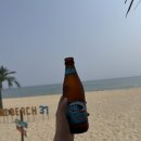 나인비치37 이미지