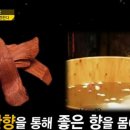황진이 피부관리 네이버블로그