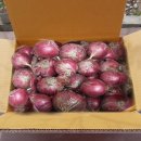 양사농장 이미지