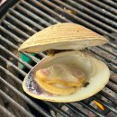 3245 | 월미도 조개구이 맛집 전망 좋은 바다뷰 - 월미루프탑24시 / 이용후기