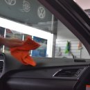 FM.MOTORS(FM.모터스) 이미지