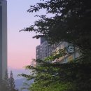 장전 온누리약국 네이버블로그