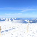 융프라우 이미지