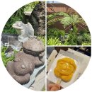 방림원 식물원 | 제주 방림원 야생화 전문 실내 제주도 식물원