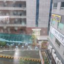 국제마트 당구장 이미지