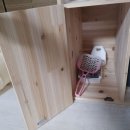 모래울화장실 이미지