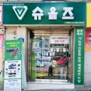 슈올즈 괴정점 이미지