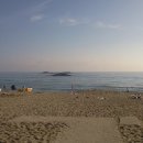 경포의하루 이미지