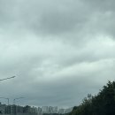 수다하우스 | 강원도 영월 계곡 캠핑장 포레앙비떼, 이지캠핑 피크 하우스 후기