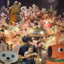 경주 아이랑 가볼만한곳 - 주렁주렁 동물원(내돈내산, 솔직후기)