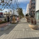 포스코대로 이미지