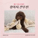 메르시동물병원 | 성남 동물병원 후기많은 곳, 메르시 동물병원::강아지 간부전
