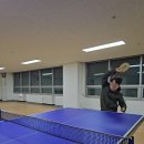 탁구 | 하말 시그니처 블레이드 프리미엄 전문가용 선수용 카본탁구라켓 추천 탁구 초보 실사용 후기