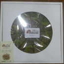 파이기공소 이미지