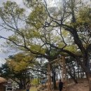 고불맹사성기념관 | 충남 아산 여행) 아산 맹씨 행단, 고불맹사성기념관, 외암 민속마을
