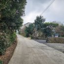 선흘1212 이미지