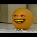 오렌 Daum카페