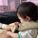 민주댕이 | 6월에 내가 뭐했지