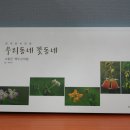 우리동네꽃동네 - 남동구 백범로247번길 88 | 우리동네꽃동네