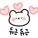(주)주디마리전대 이미지