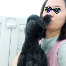 거창하개 이미지