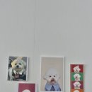 뽀야네 까까 이미지