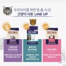 삼토식품 | 베스트브리드 홀리스틱 캣다이어트 사료 기호성짱 면역건강, 위장건강,관절건강도 같이 챙겨요