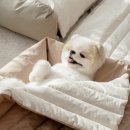 사계절 애견 켄넬 이미지