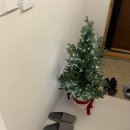 서와민박 | [숙소🏠] 제주도 독채 민박 서온담 후기