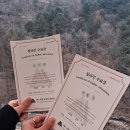 가평 브릿지짚라인 내돈내산 후기 만족도 최고! (feat. 디지털관광 주민증)