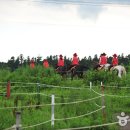 오케이승마장 이미지