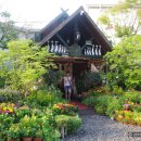 타샤의정원 이미지