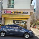 애니원애견미용 이미지