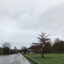 인애치과의원 | 런던에서 교정기 유지장치 떨어지다... ㄷ ㄷ