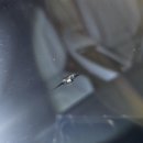 세븐일레븐 양산어곡공단점 | 양산 어곡공단유리복원 유산공단 돌빵 출장유리용접