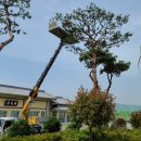 영암군 공설운동장 이미지