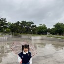 증도 작은도서관 | 전주 비 오는 날 아이랑 실내 갈만한 곳 국립전주 박물관 솔직후기