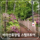 바라산자연휴양림 | 의왕 바라산자연휴양림 스탬프 투어 체험 후기