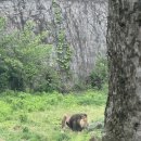 카페융가비 이미지